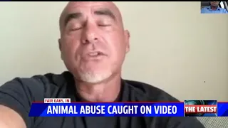 Animal abuse caught on camera