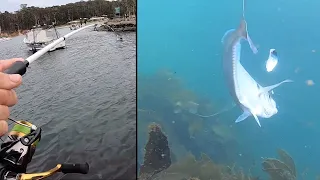 Hot Bite! Fishing Eden Boat Ramp