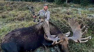 Chasing Giants: A Once in a Lifetime Moose Hunt