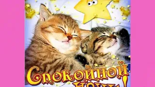 #спокойнойночикотенок #котенок                  Спокойной ночи,Котенок!