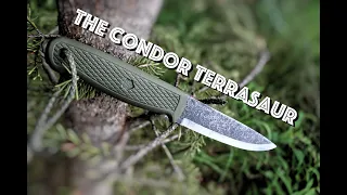 The Condor Terrasaur, The BEST Budget Bushcraft Knife for 2021