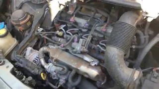 Toyota Vitz / Yaris 1.4 D4D turbo diesel engine start up + rev sound