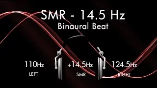 Reduce Anxiety on The SMR Wave - 1hr Pure Binaural Beat Session at ~(14.5Hz)~ Intervals