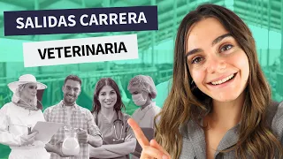 ¿Cuáles son las salidas profesionales en la veterinaria? Trabajo en Veterinaria y salidas laborales