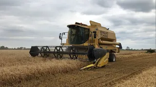 Żniwa 2022 - New Holland TX66, John Deere T670, Case IH Axial-Flow 6130