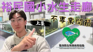 什麼？！國小裡竟有水族館等級的生態走廊！！！溪流魚類飼養六大重點大公開！！！（＃生態走廊、＃生態教育、＃溪流魚類、＃觀賞魚、＃水族飼養、＃台灣原生魚類）