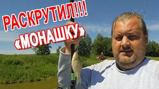 БЛУДНЫЙ КОТ - озеро Ярково ...