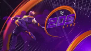 WWE 205 Live January 22nd 2019 Review