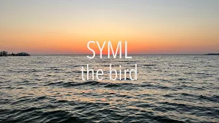 syml | the bird (looped chorus)