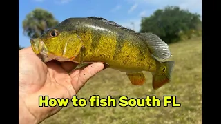 Complete Guide to Fishing South Florida