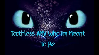 Toothless AMV Who I'm Meant To Be