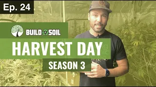 BuildASoil: HARVEST DAY (Season 3, Episode 24)