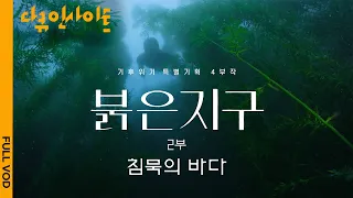 [4K FULL] 수온 상승으로 제주 바다가 죽어가고 있다 | 붉은 지구 2부 침묵의 바다 (KBS 210909 방송)