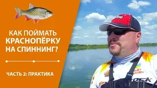 Как поймать краснопёрку на спиннинг? Часть 2 Практика