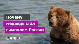 Медведь как символ России. Уважение или русофобия? История звериной ассоциации