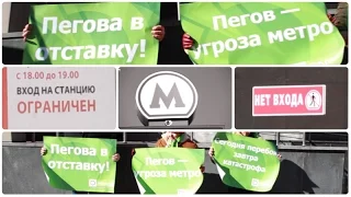 Московское ЯБЛОКО потребовало отставки Пегова