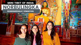 Mini Tibet of India ll Norbulingka Institute ll Dharamshala  Vlog6
