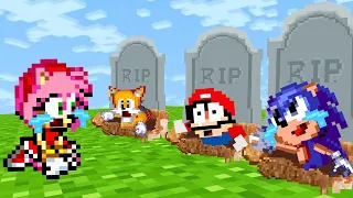 Amy R I P All Pixel Animator in Minecraft (Sonic, Mario, Tails) - Pixel Animator vs Minecraft Shorts