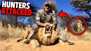 Animals Who Took REVENGE on Hunters MARATHON!