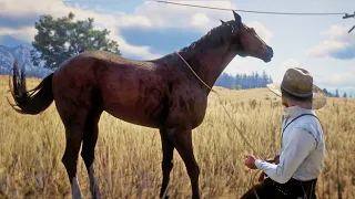 COMO DOMESTICAR UN CABALLO | RED DEAD REDEMPTION 2