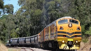 Adelaide Hills Rail Action - January/February 2016