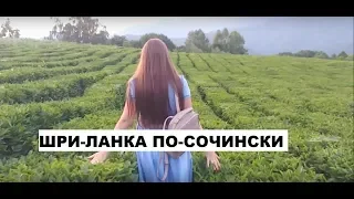 🌄 ШРИ-ЛАНКА ПО-СОЧИНСКИ 🌄/ ПОЛЕТ НА ВОЗДУШНОМ ШАРЕ В СОЧИ / СОЛОХАУЛ ПАРК 2019 / ОТДЫХ В СОЧИ 2019