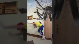 OMG Super Giant SPIDER 🕷️🕸️ in room 🤪 #shorts by Super Max