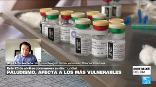 ¿El cambio climático ha influido en el aumento de los casos de malaria? • FRANCE 24 Español