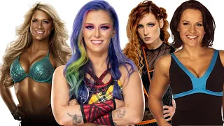 Kelly Kelly vs Tegan Nox vs Becky Lynch vs Molly Holly- Go Round Pin