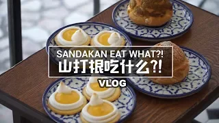 【Vlog】去山打根找美食! Sandakan Food Hunt! 必吃! MUST EAT!