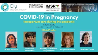 COVID-19 in Pregnancy: Intrapartum Care during the Pandemic (Webinar 2)