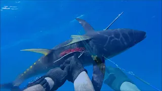 OUMAR SPEARFISHING OAHU BLUE WATER