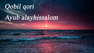 Qobil qori - Ayub alayhissalom
