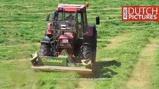 Case International 1056XL mowing grass near Uslar, Germany | Gras | Mähen | Maaien