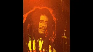 Bob Marley " Could You Be Loved " Live 80 HD !!!