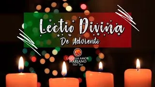 LECTIO DIVINA (((EN VIVO))) 09/12/2020 | Evangelio Según san Mateo 11, 28-30