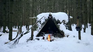 Caught in a Snow Storm - Winter Camping in a Snowstorm with My Dog - Bushcraft Trip - Survival