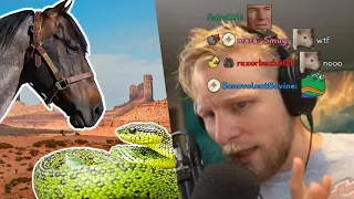 Veritasium's How Horses Save Humans From Snake Bites | Quin69 Reacts