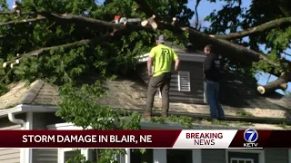 Nebraska storm damage: Down tree limbs, extensive power outages