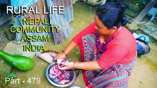 RURAL LIFE OF NEPALI COMMUNITY IN ASSAM, INDIA, Part  - 479 ...