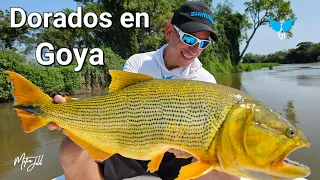 Pesca durante el día y la noche en Goya Corrientes