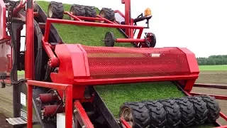 É ASSIM QUE O GRAMADO DO FUTEBOL É FEITO