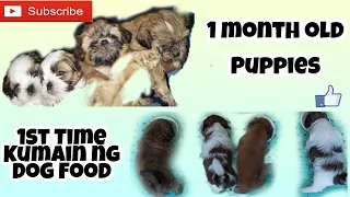 Unang Pagkain ng Dog Food para sa 1 month old Puppies