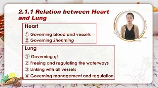 An Understanding of TCM 3.9 Mutual Relations among Zang fu Organs