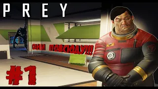 ОНИ ПОВСЮДУ!!! | ВЕСЬ МИР — ТЕАТР |  Прохождение Prey #1