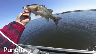 Pre spawn bass fishing on the California Delta