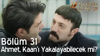 Kanatsız Kuşlar 31. Bölüm - Ahmet, Kaan'ı yakalayabilecek mi?