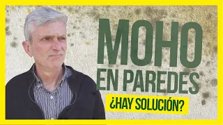 💦Cómo Quitar el MOHO de las Paredes con Humedad 👌 ¡PARA SIEMPRE! (Consejos LÓGICOS)