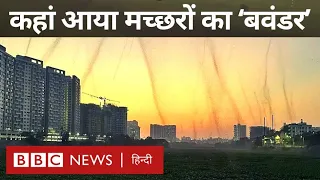 Mosquito Tornado : भारत के इस शहर में इतने सारे मच्छर कहां से आ गए? (BBC Hindi)