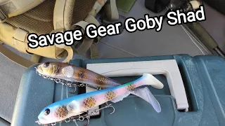 Экспресс разведка,перспективной реки с Savage Gear Goby Shad 20 см. Теперь сюда с лодкой.